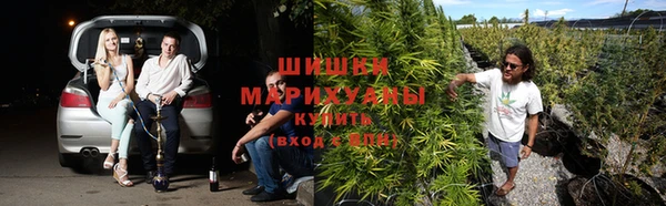 ПСИЛОЦИБИНОВЫЕ ГРИБЫ Алексеевка