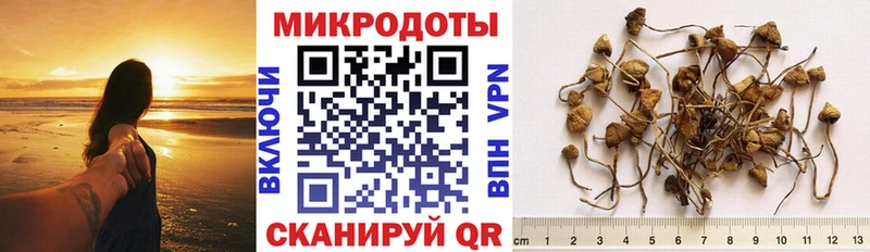 Галлюциногенные грибы GOLDEN TEACHER  Гаврилов Посад 